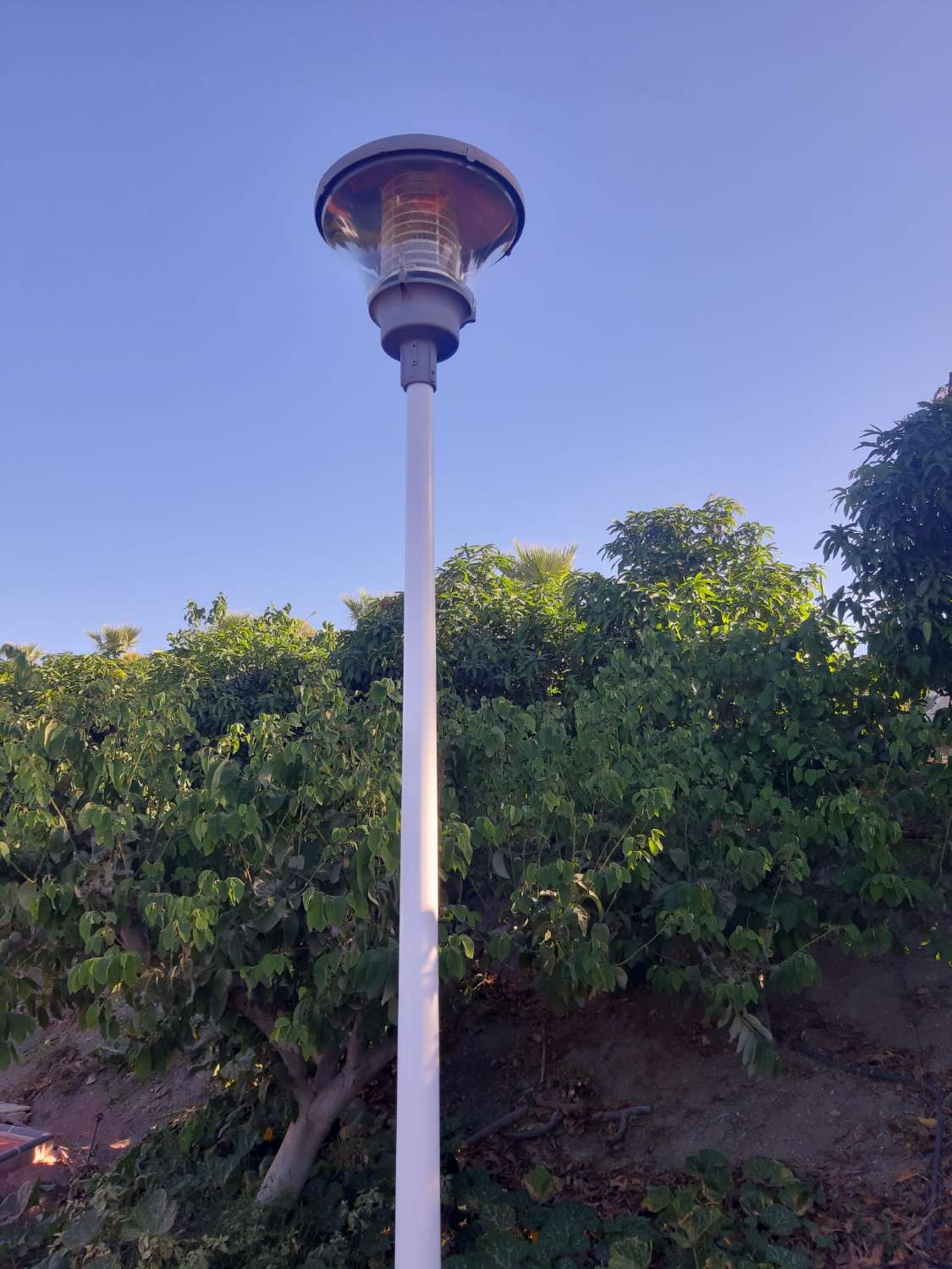 Finca a la venta de Subtropicales en Salobreña con casa-cortijo