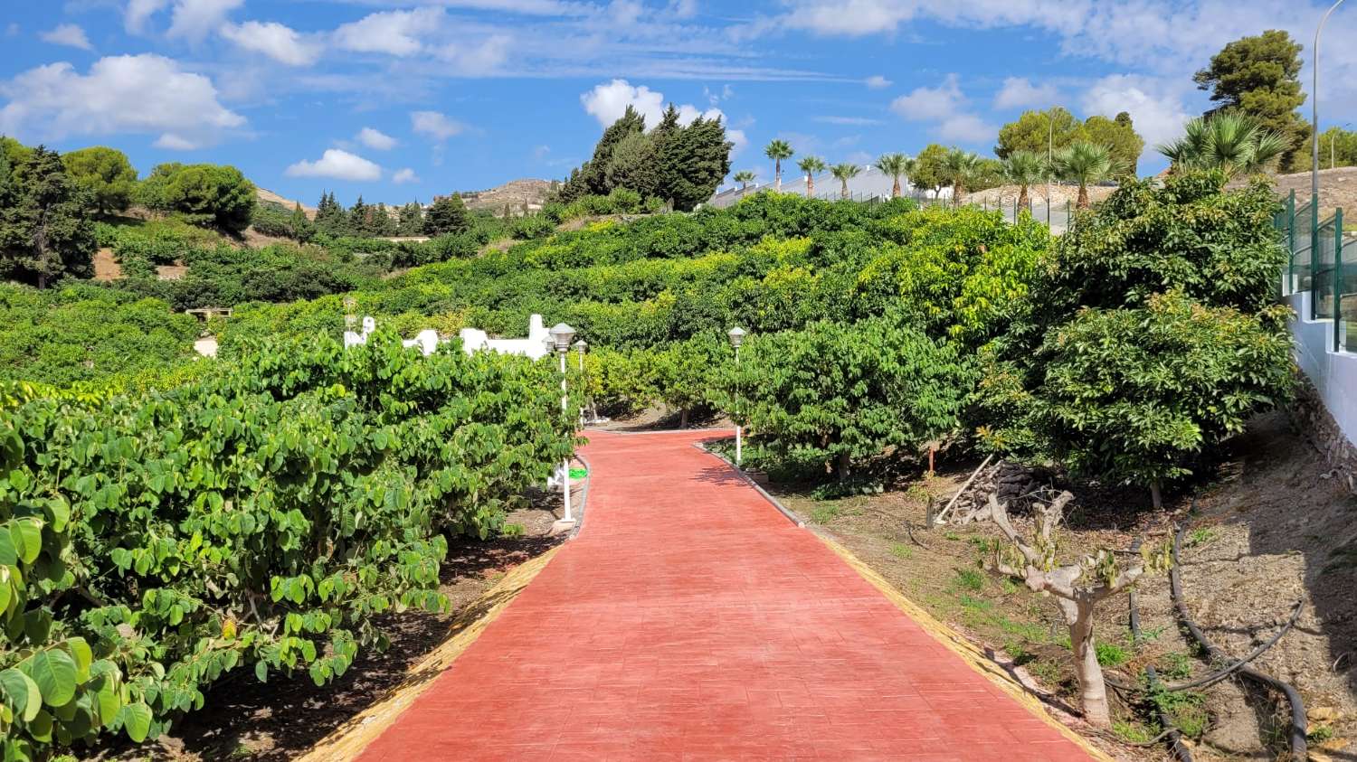 Estupenda finca de aguacates con casa-cortijo en Salobreña