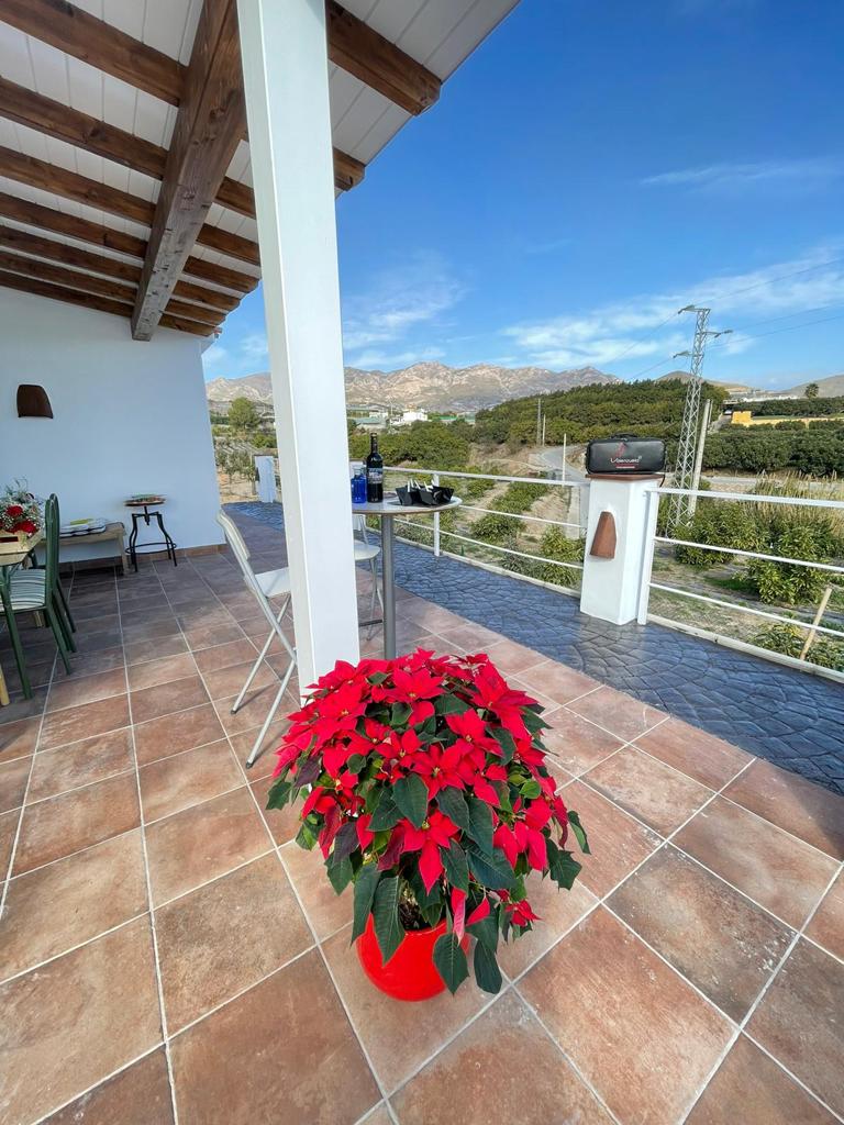 Estupenda finca de aguacates con casa-cortijo en Salobreña