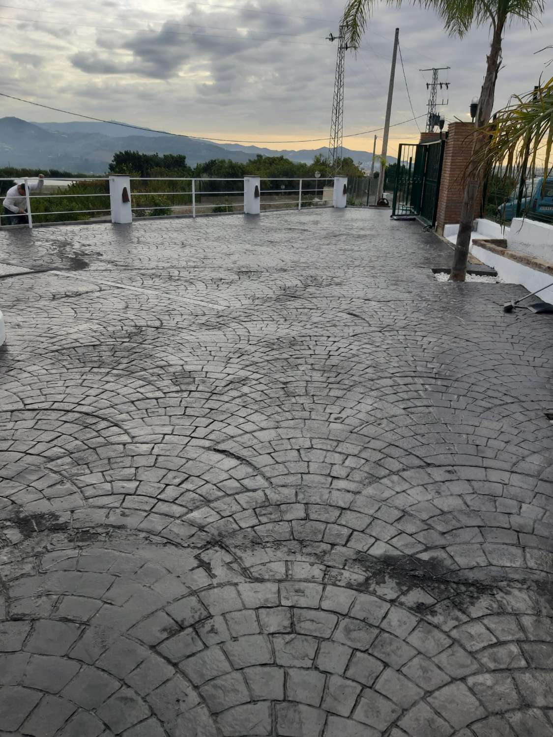 Estupenda finca de aguacates con casa-cortijo en Salobreña